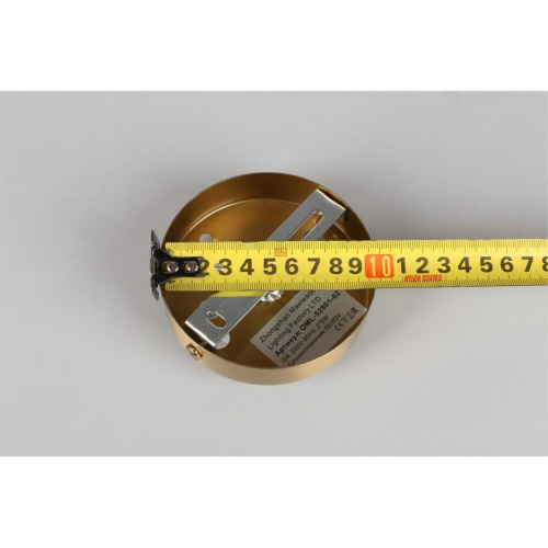 Светильник настенный (Бра) OML-52901-02 фото 9