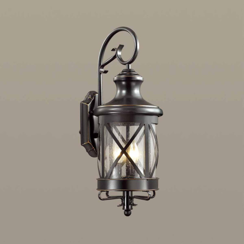 Уличный настенный светильник Odeon Light Nature Sation 4045/3W фото 2