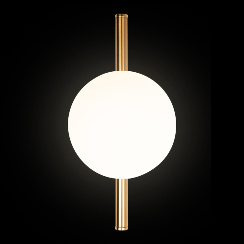 10236/1W Настенный светильник LOFT IT Tely фото 6 10236/1W Настенный светильник LOFT IT Tely фото 6