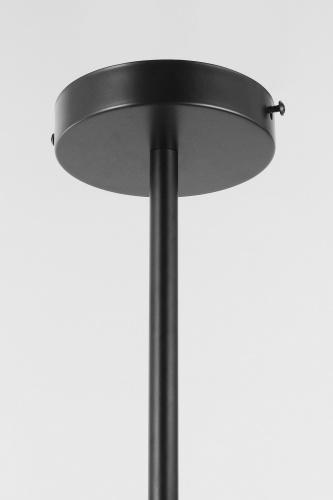 Подвесной светильник Lampit TP 2008-5 BK фото 4