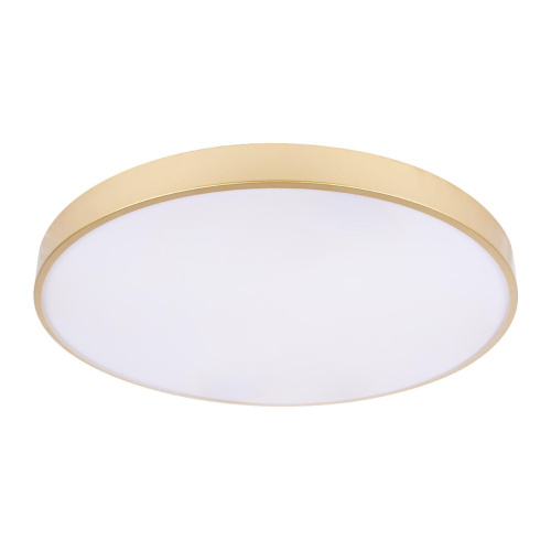 10228/B Потолочный светильник LOFT IT Flims фото 3