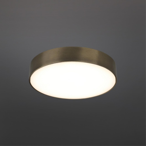 Светильник настенно-потолочный APL.0114.29.24 фото 3