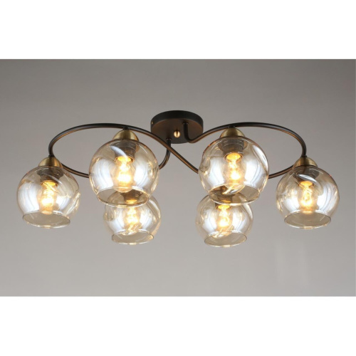 Люстра потолочная OML-95007-06 фото 14