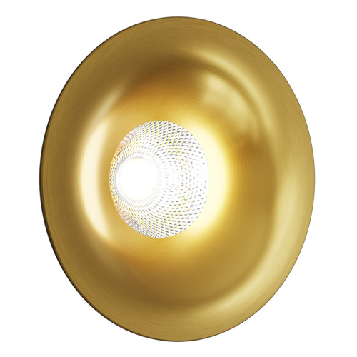 IT014-0208 gold светильник встраиваемый влагозащищенный фото 3
