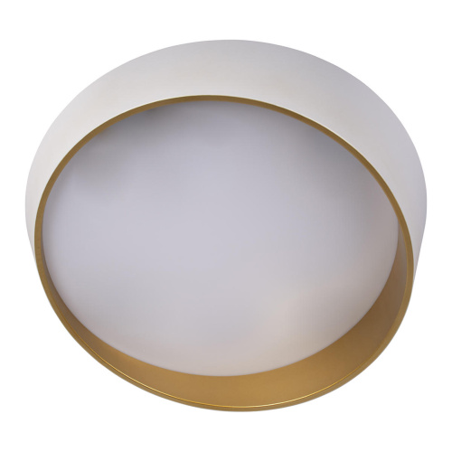 10199 White Потолочный светильник LOFT IT Coin фото 4 10199 White Потолочный светильник LOFT IT Coin фото 4