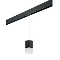 Комплект с трековым светильником Lightstar Rullo (213487+595887+202481) PRORP348781