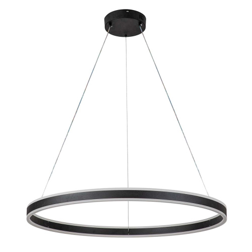 Подвесной светильник 14001/1P Black фото 2