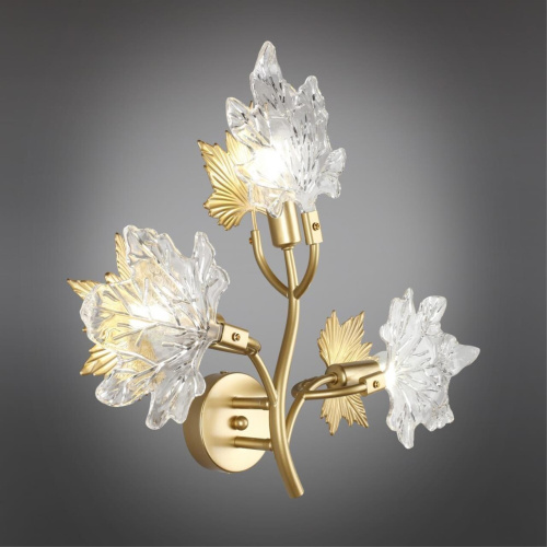 Светильник настенный (Бра) OML-52701-03 фото 8