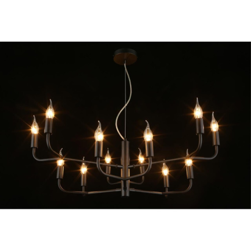 Люстра подвесная APL.338.13.12 фото 11