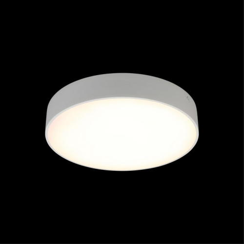 Светильник настенно-потолочный APL.0113.09.24 фото 9