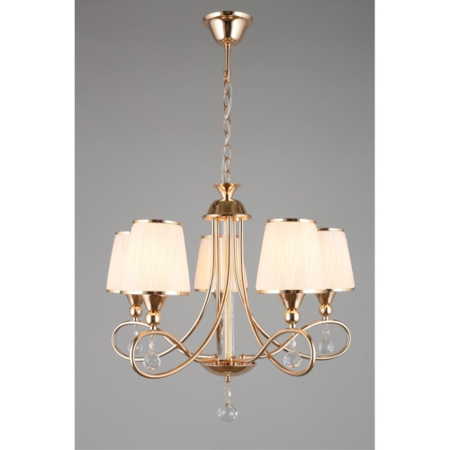 Люстра подвесная OML-56507-05 фото 4