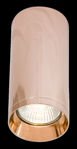 Потолочный светильник Technical C010CL-01RG фото 2