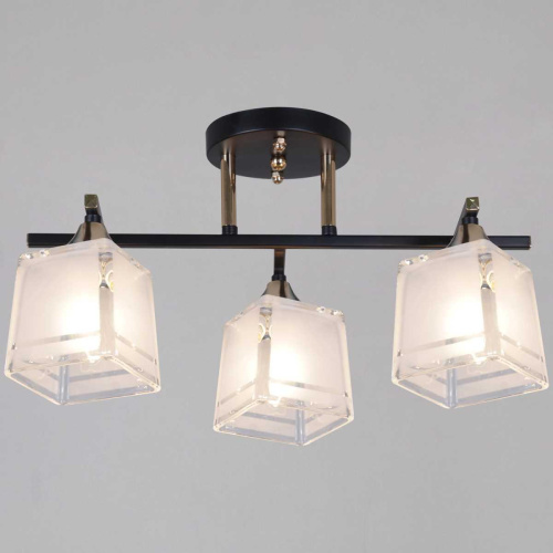 Потолочная люстра Reluce 46460-0.3-03 BK+FG