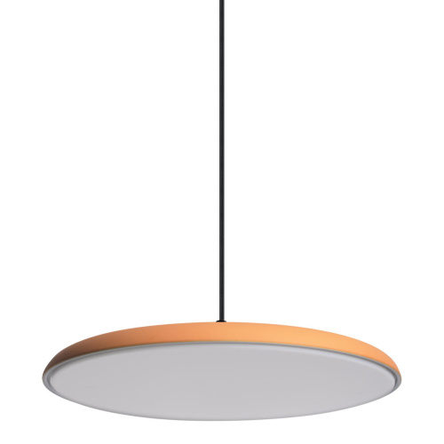10119 Orange Подвесной светильник LOFT IT Plato фото 3