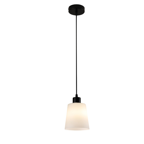Подвесной светильник 120004/1P E27*60W Black Подвесной светильник 120004/1P E27*60W Black
