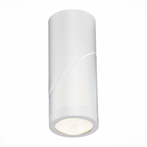 ST650.542.10 Светильник потолочный Белый LED 1*10W 4000K 800Lm Ra>90 38° IP44 D62xH151 165-265V Накладные светильники фото 3