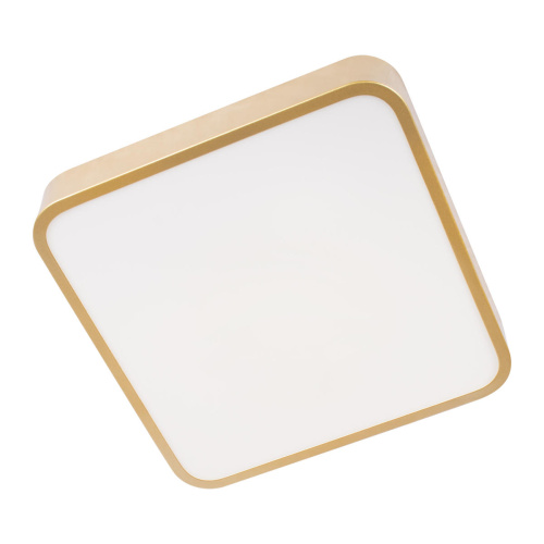 10228/C Потолочный светильник LOFT IT Flims фото 3 10228/C Потолочный светильник LOFT IT Flims фото 3