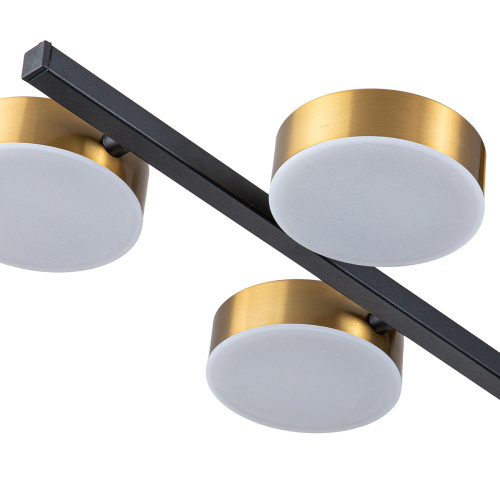Светильник на штанге Escada 10266/6 LED*95W Black/Brass фото 5
