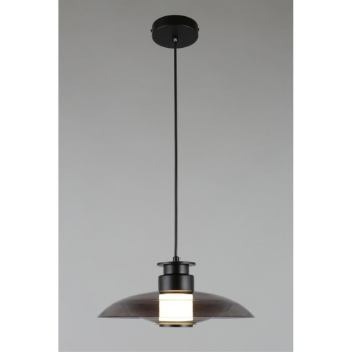 Светильник подвесной APL.648.06.10 фото 2