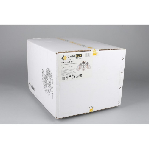 Люстра потолочная OML-93507-05 фото 7