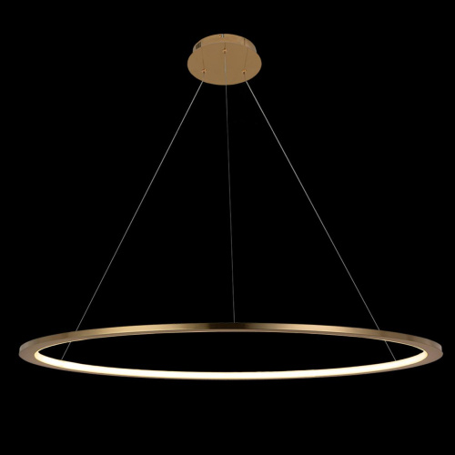 10014XL Подвесной светильник LOFT IT Ring фото 3 10014XL Подвесной светильник LOFT IT Ring фото 3