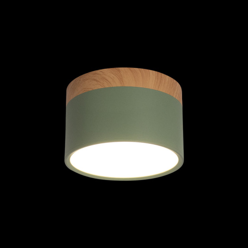 10162 Green Накладной светильник LOFT IT Grape фото 2