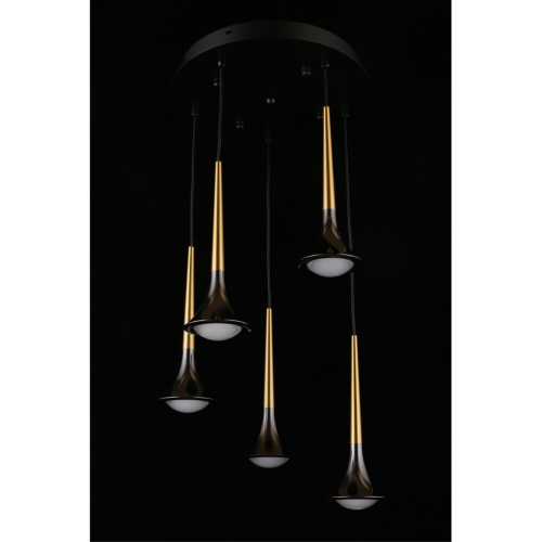 Люстра подвесная APL.784.06.05 фото 11