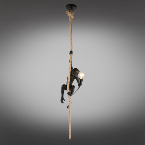 Светильник подвесной APL.309.16.01 фото 3