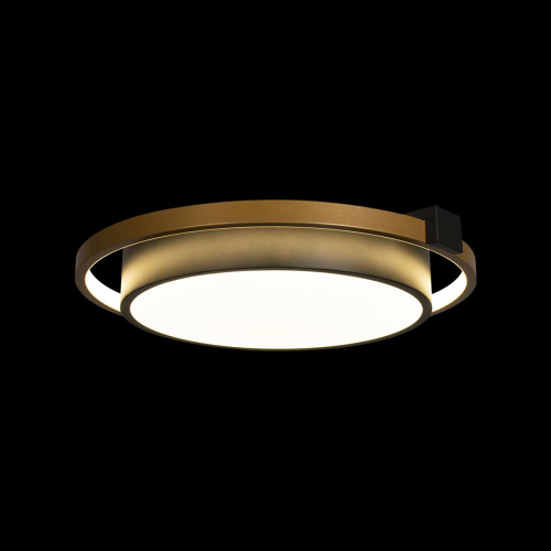 10169 Потолочный светильник LOFT IT Mike фото 3