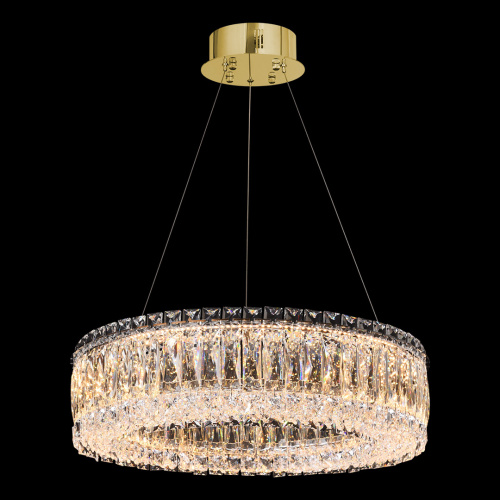 Люстра подвесная Vetto Gold FL1147-5P фото 4