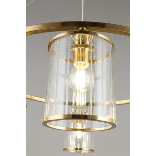 Люстра подвесная OML-59803-06 фото 2