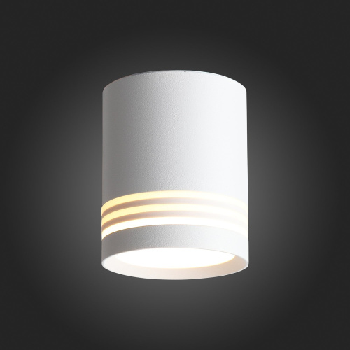 ST101.542.05 Светильник потолочный Белый LED 1*5W 4000K 390Lm Ra>80 120° IP20 D68xH80 170-240V Накладные светильники фото 6