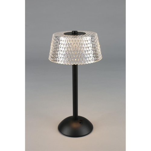 Настольная лампа OML-40104-01 фото 17