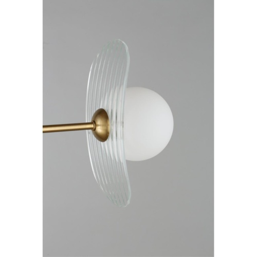 Люстра потолочная OML-51117-06 фото 10