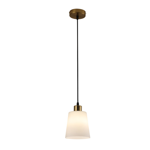 Подвесной светильник 120004/1P E27*60W Gold
