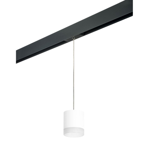 Комплект с трековым светильником Lightstar Rullo (213486+595887+202480) PRORP348680