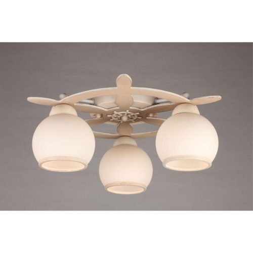 Люстра потолочная OML-50517-03 фото 5 Люстра потолочная OML-50517-03 фото 5