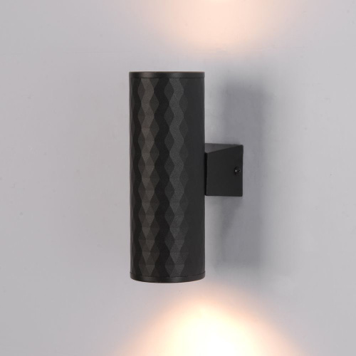 Уличный настенный светильник Arte Lamp Hyadum A3458AL-2BK фото 2