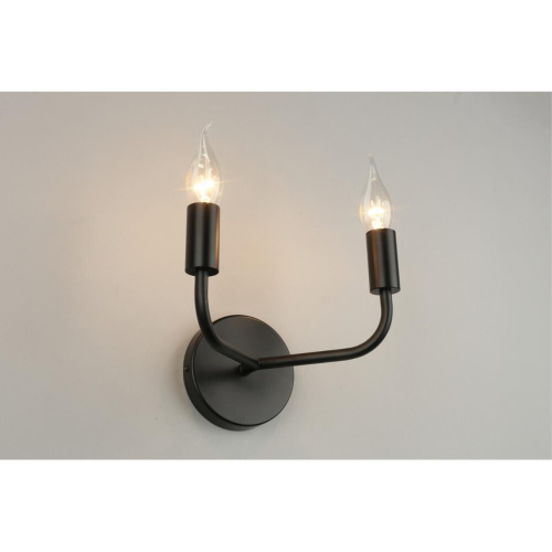 Светильник настенный (Бра) APL.338.11.02 фото 4