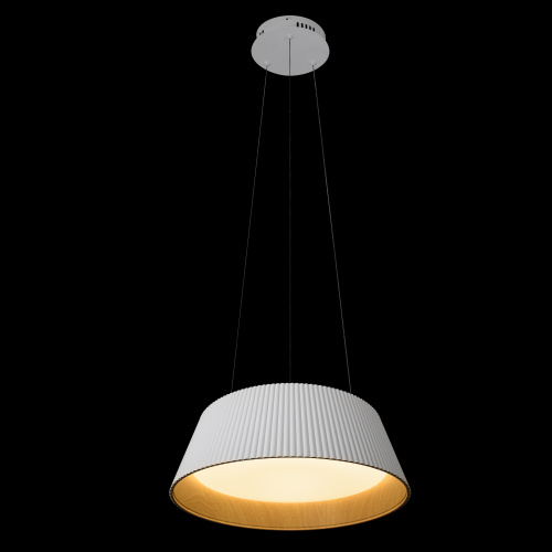 10224P White Подвесной светильник LOFT IT Evans фото 9