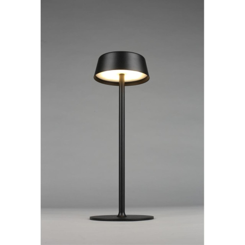 Настольная лампа OML-40504-01 фото 7 Настольная лампа OML-40504-01 фото 7