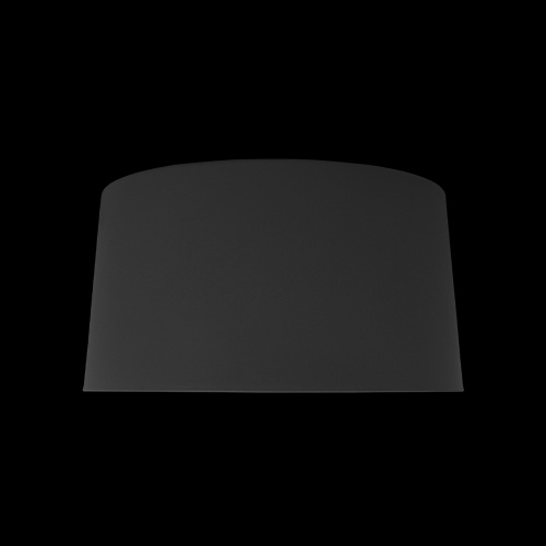 10360M Grey Потолочный светильник LOFT IT Duo фото 4 10360M Grey Потолочный светильник LOFT IT Duo фото 4