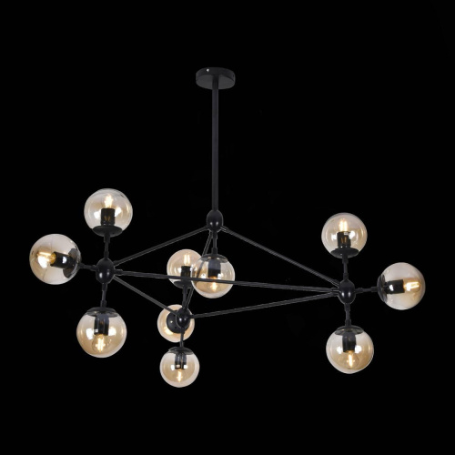 Потолочная люстра Evoluce Lacotta SLE154903-10 фото 2