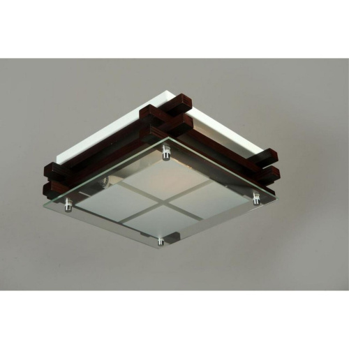 Светильник настенно-потолочный OML-40507-02 фото 2 Светильник настенно-потолочный OML-40507-02 фото 2