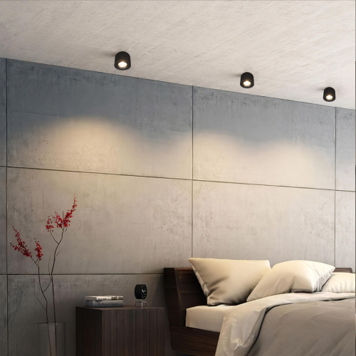 10219 Black 3000K Потолочный светильник LOFT IT Tictac фото 6