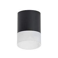 Комплект с потолочным светильником Lightstar Rullo (213487+202481) R348781