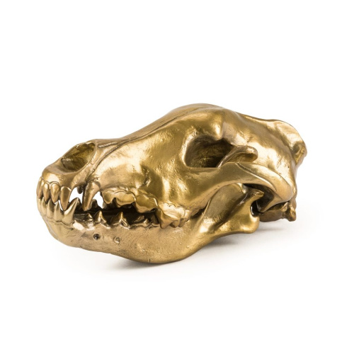Статуэтка Wunderkrammer Wolf Skull фото 6 Статуэтка Wunderkrammer Wolf Skull фото 6