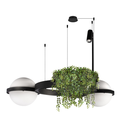 10121/2 Подвесной светильник LOFT IT Jardin фото 6