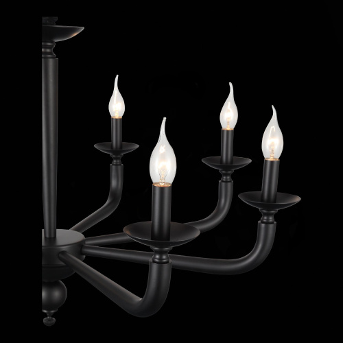 SL1114.403.08 Люстра подвесная ST-Luce Черный E14 8*40W FORTEZA фото 9