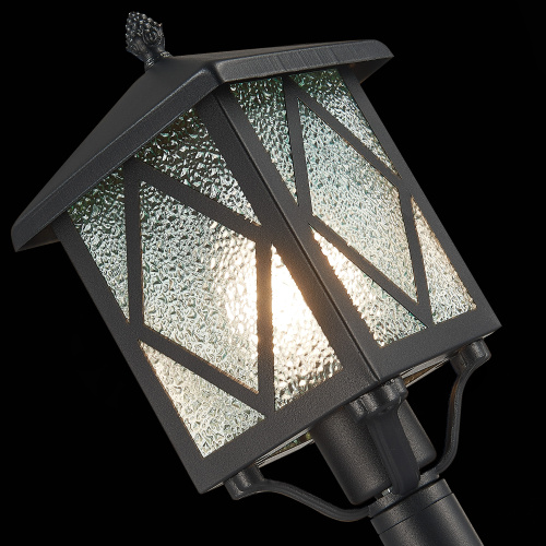 SL084.415.01 Светильник уличный наземный ST-Luce Черный/Черный, Прозрачный E27 1*60W LORNE фото 8